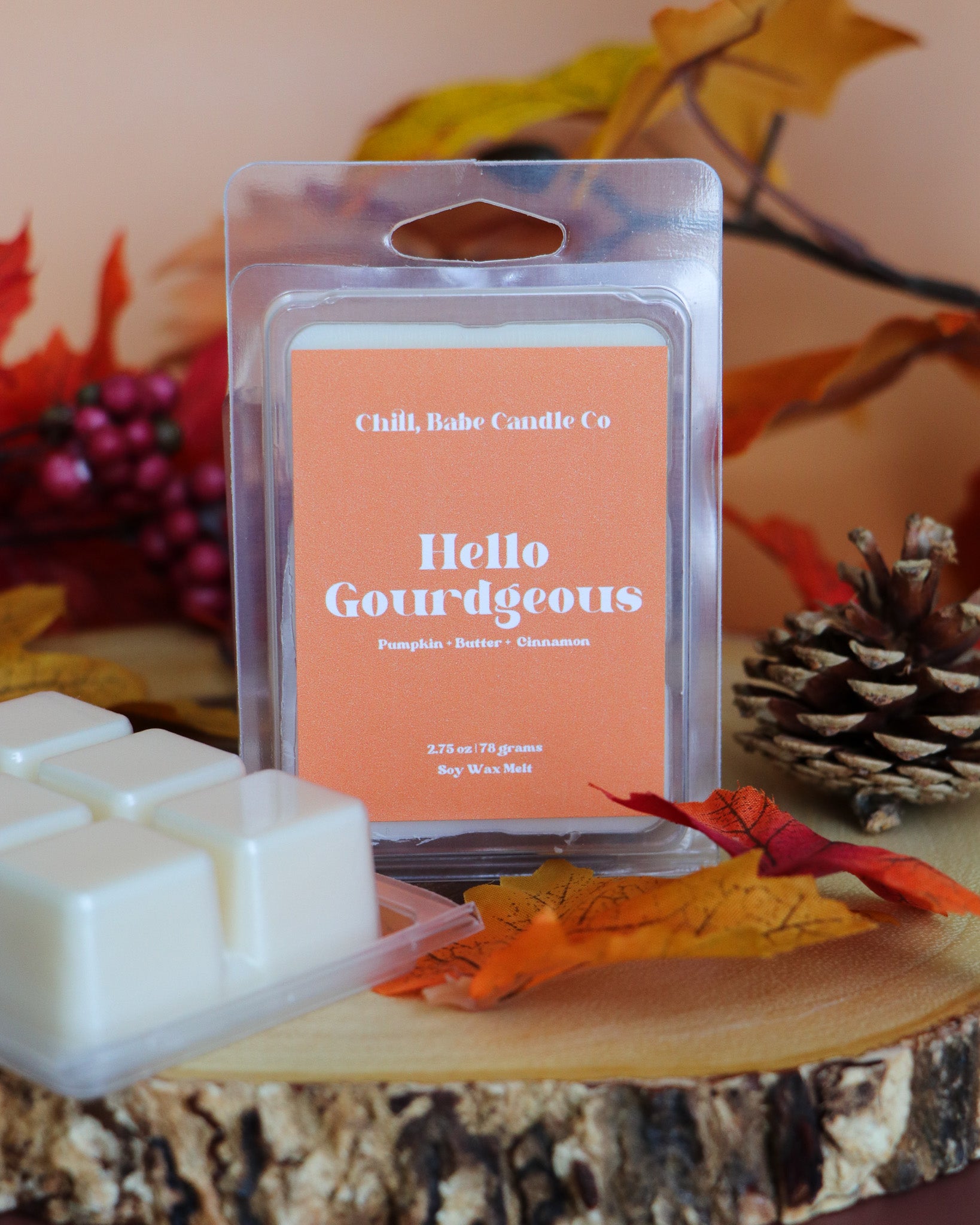 Hello Gourdgeous Wax Melt | Pumpkin + Butter + Cinnamon